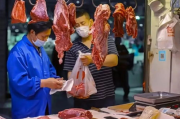 肉多少钱,市场行情与价格影响因素全面解析