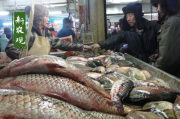 鲈鱼多少钱一斤,市场价格与选购指南