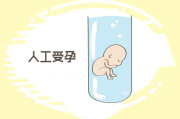 人工受孕价格解析：费用构成与影响因素详解