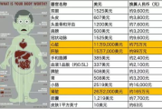一个肾能卖多少钱,黑市交易真相与健康风险解析