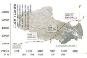 冬虫夏草多少钱一克,价格因素与选购指南