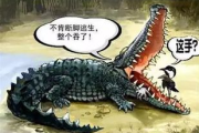 英雄联盟鳄鱼攻略-全面掌握单挑与团战技巧