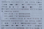 口袋妖怪心金修改器使用指南与风险分析