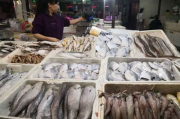 鲳鱼多少钱一斤,市场价格与选购指南