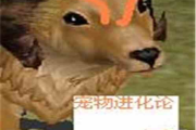 DNF宠物进化全解析-提升宠物实力的关键步骤
