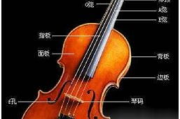一般小提琴多少钱,价格区间与选购指南