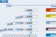 《植物大战僵尸2》内购系统解析与优化策略