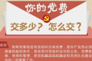 党费一年多少钱,党员缴费标准详解与计算方法
