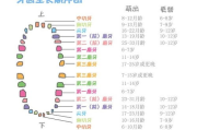 牙齿价格全面解析：从种植牙到矫正的预算指南